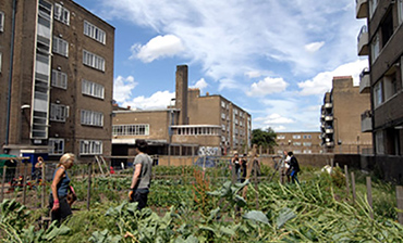 urban farm londra-riattiwa-ta davide ruzzon